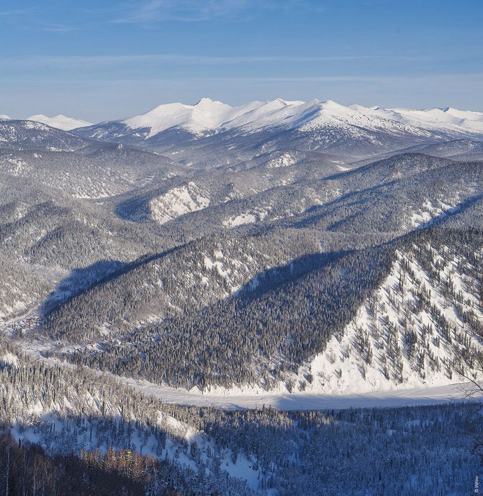 Лужба