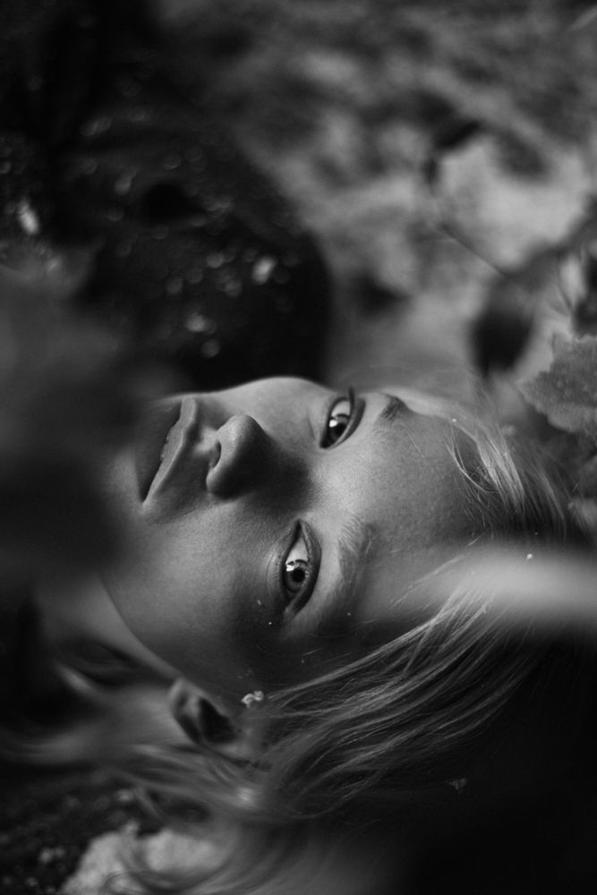 Photo 2993087
