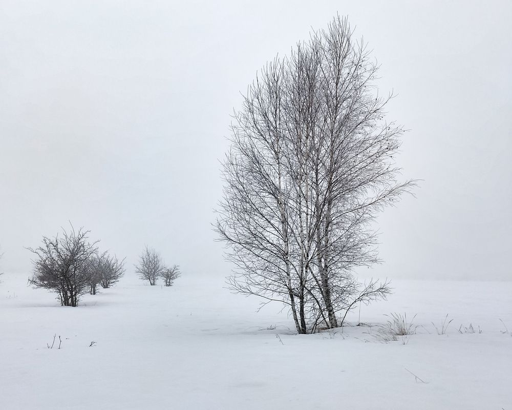 Photo 29930000