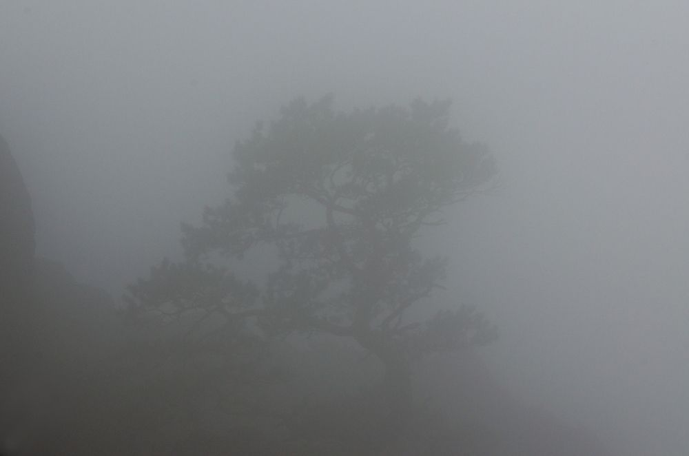 Photo 29930023