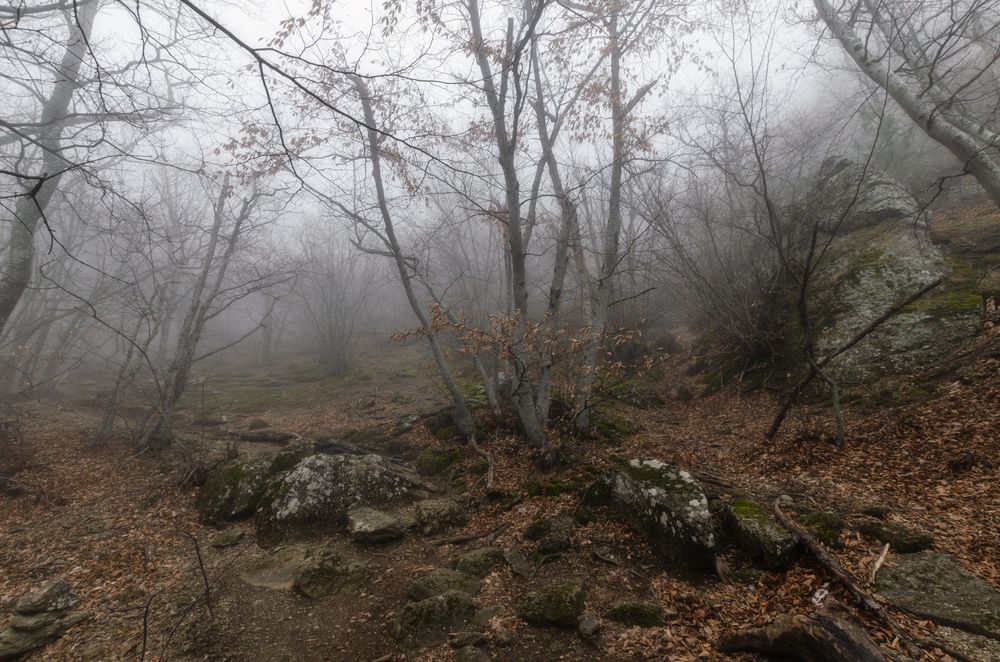 Photo 29930031