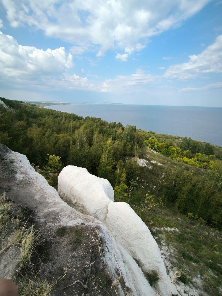 Photo 29930116