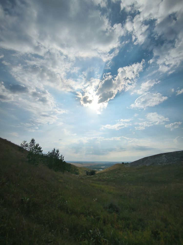 Photo 29930118