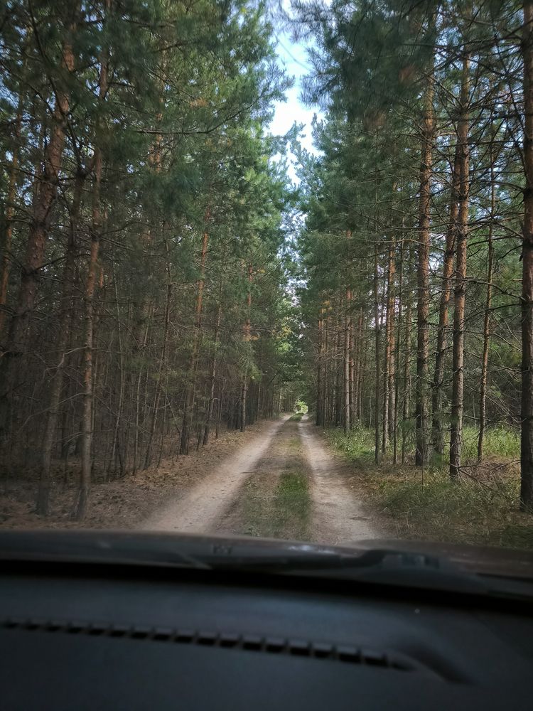 Photo 29930121