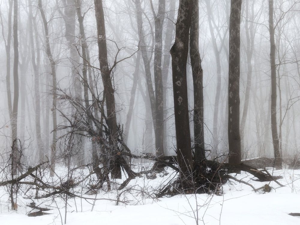 Photo 29930250