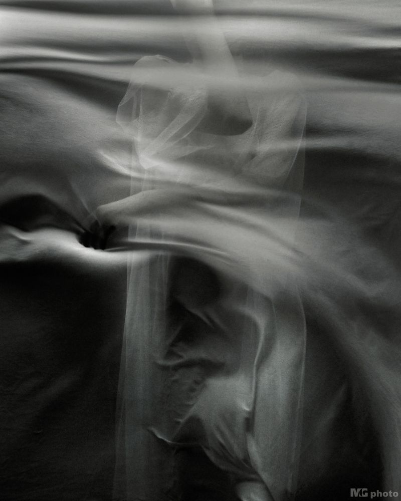 Noir Wind #2#1