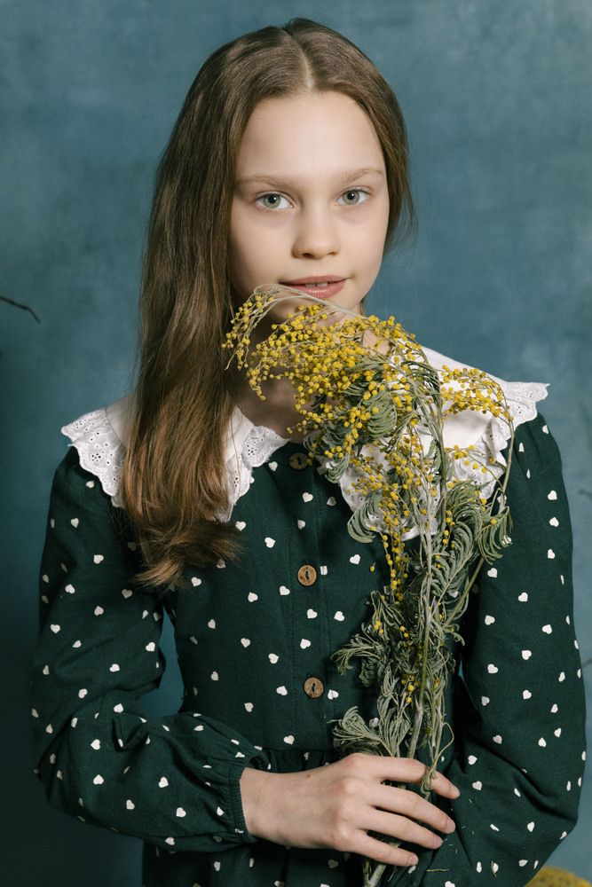 Серия "Мимоза"