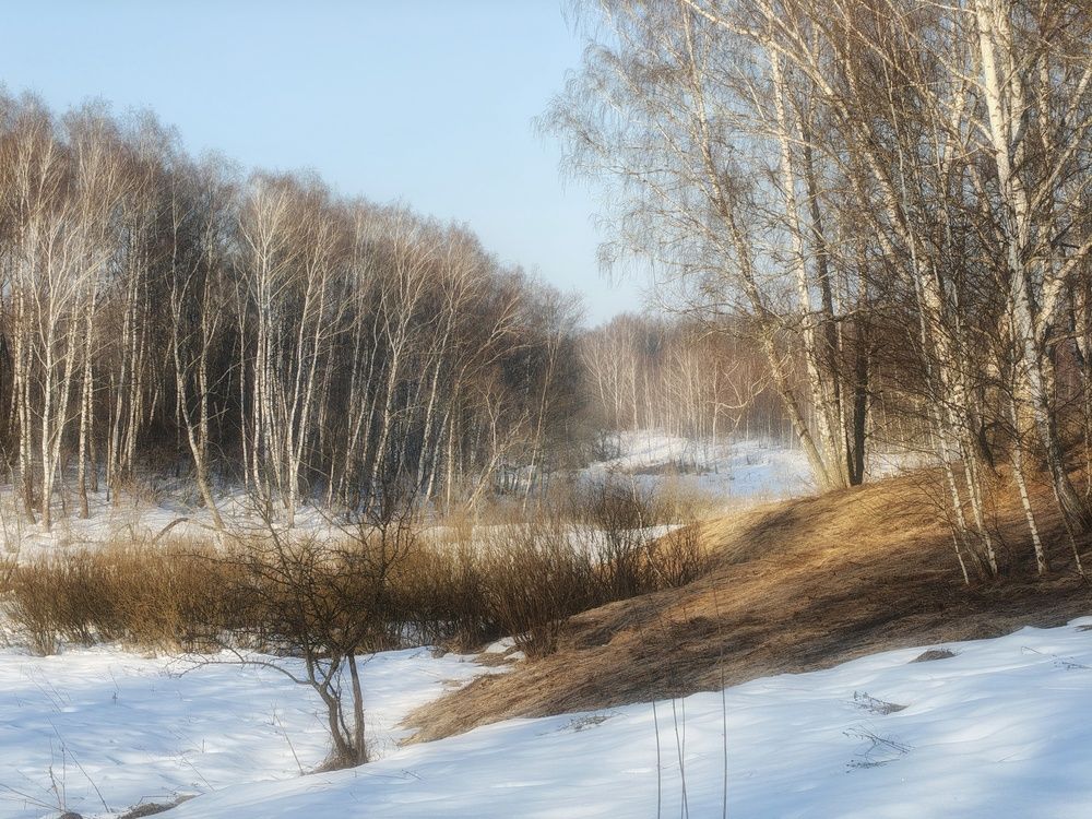 Photo 29930768