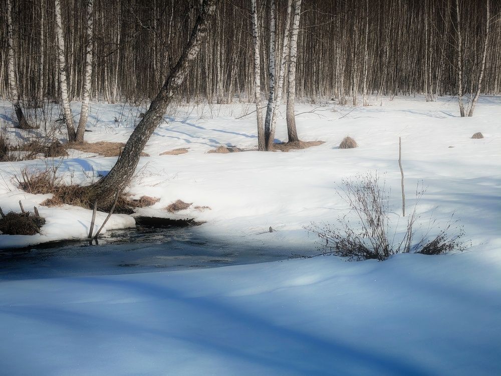 Photo 29930769
