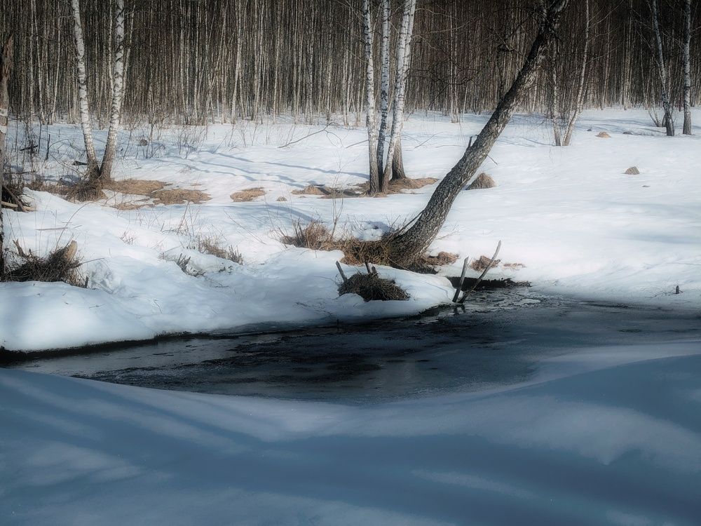 Photo 29930770