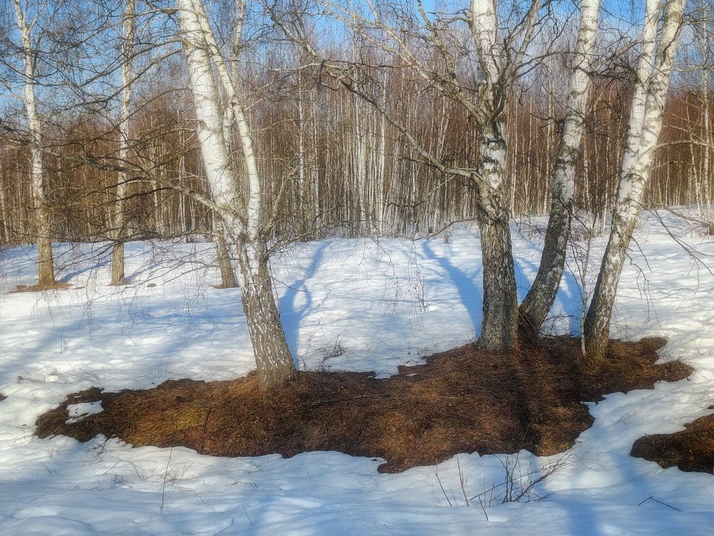 Photo 29930774