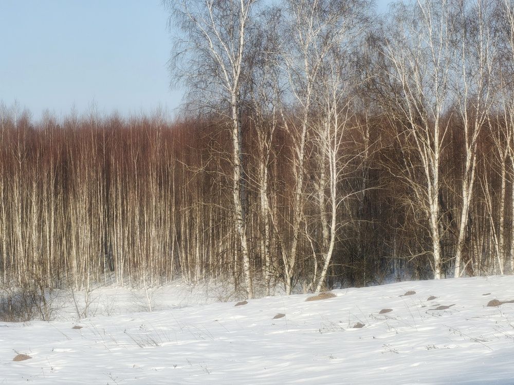 Photo 29930775