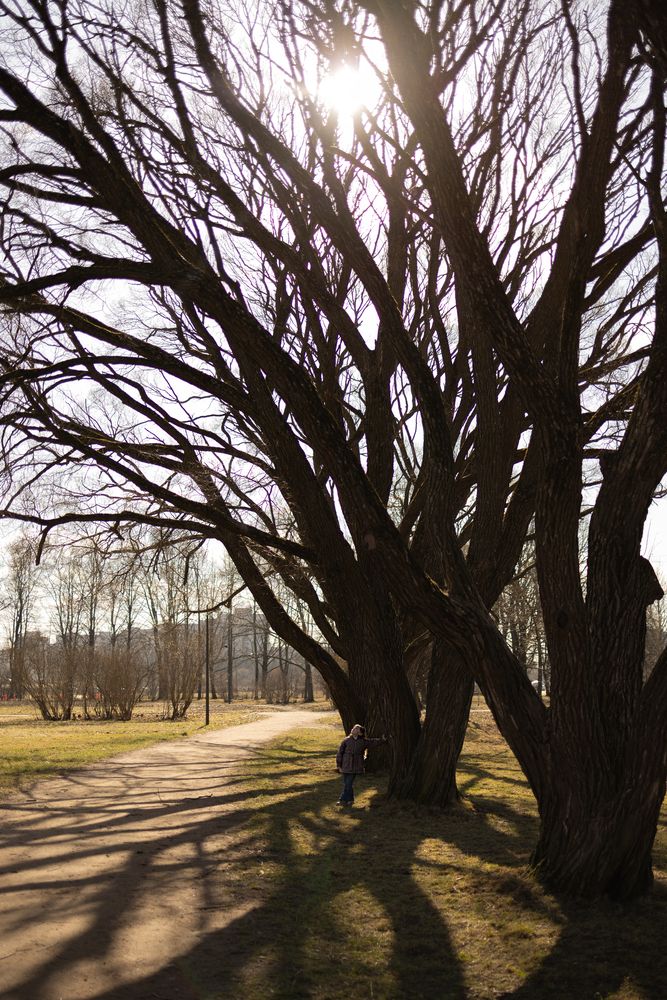 Photo 29931701