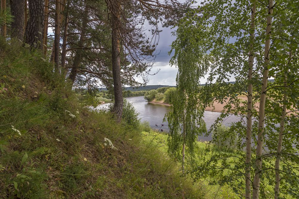 Виледь.