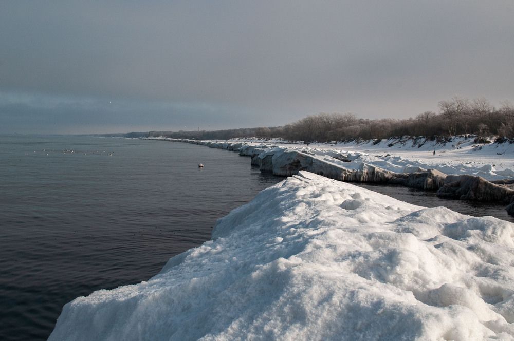 Photo 29932243