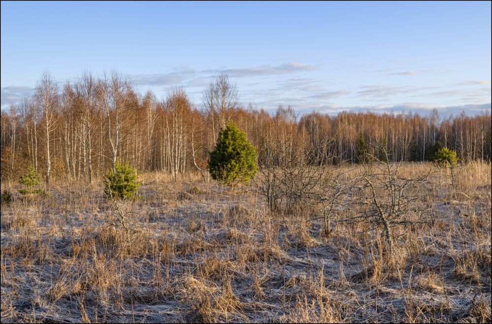 Солнечное, но подмороженное утро серой весны.
