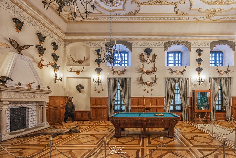 Интерьеры Несвижского замка, фото 9