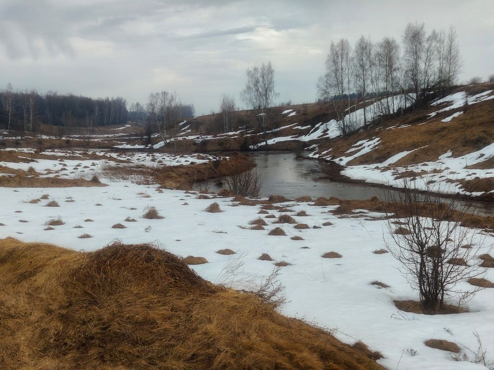 Пегая земля