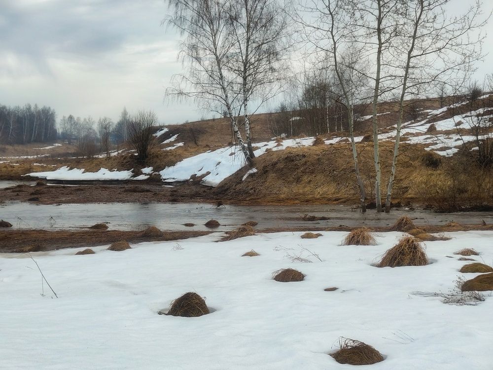 Пегая земля