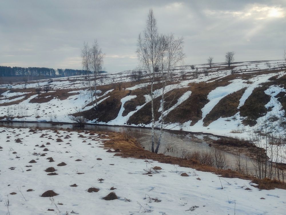 Пегая земля