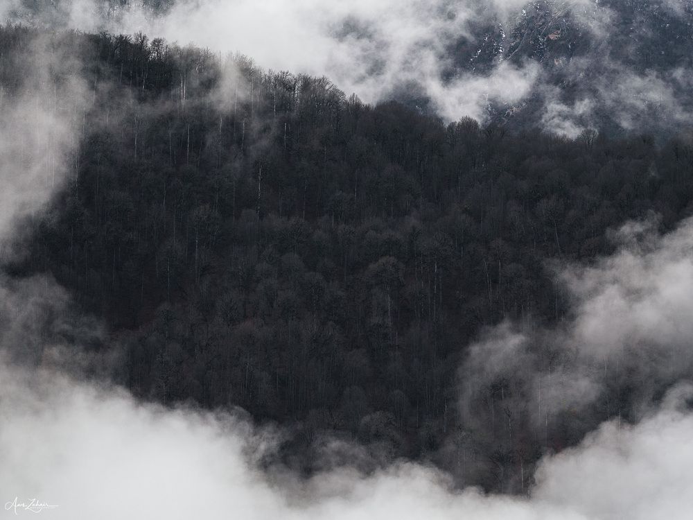Clouds