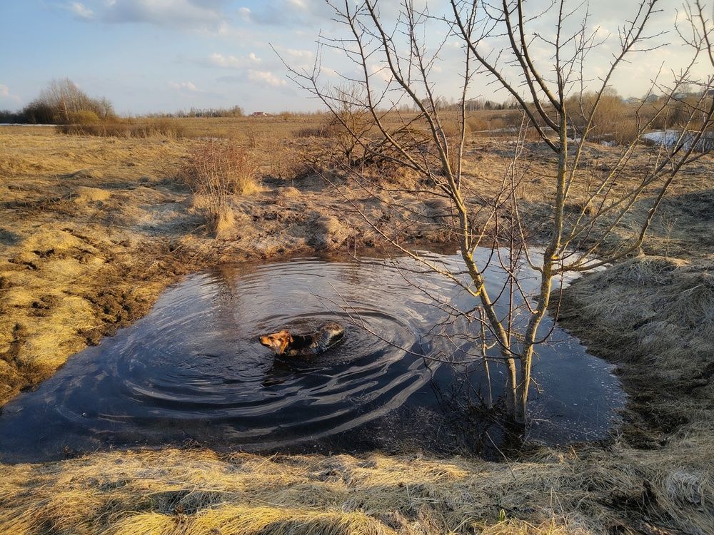 Photo 29932997