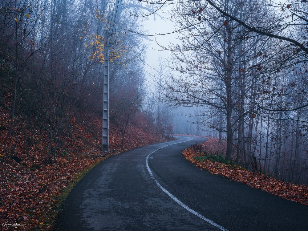 Foggy Road