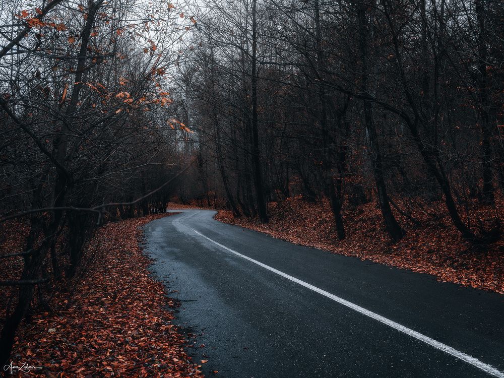 Into the Darkness