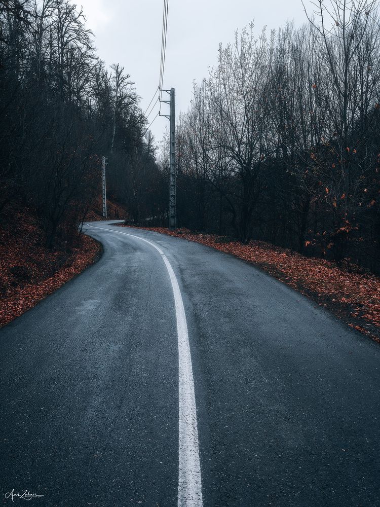 Into the Darkness