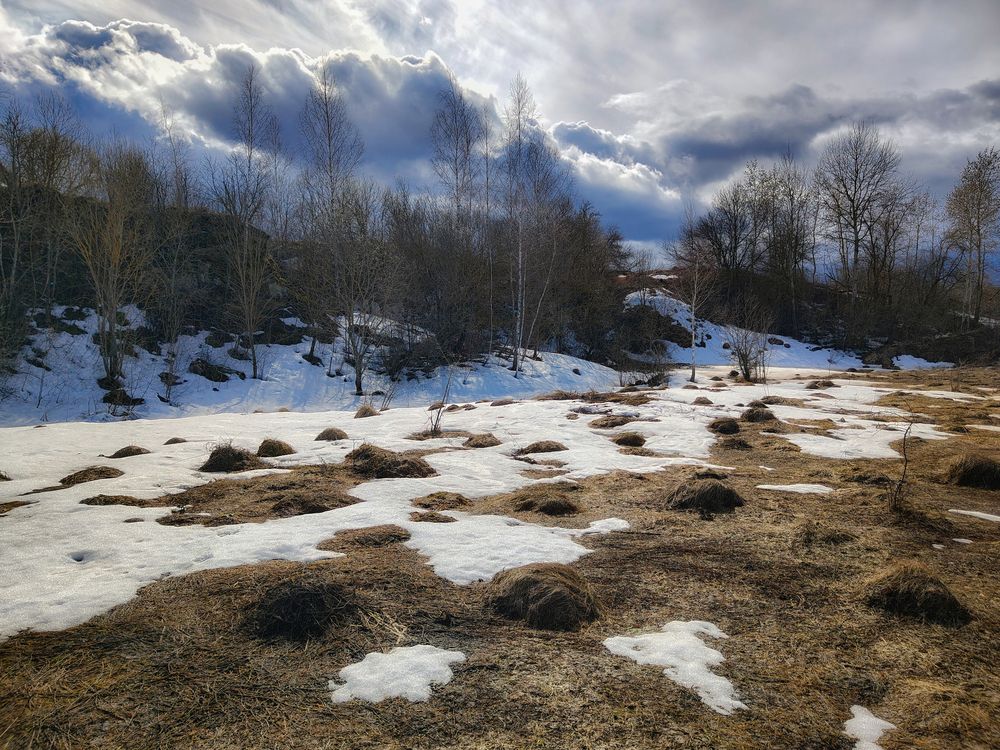 Photo 29933556