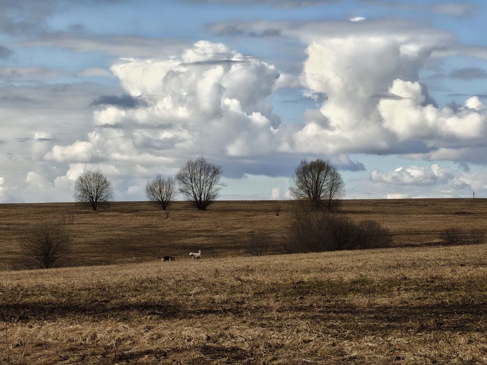 Photo 29934098