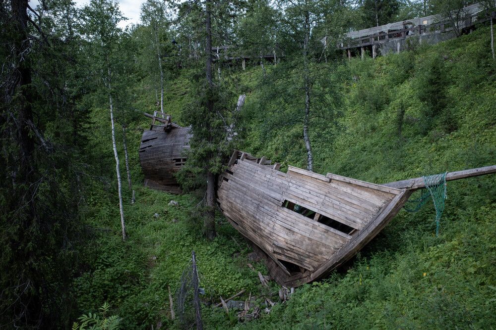 Таинственный лес. Кировск