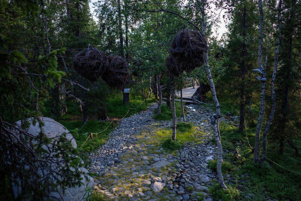 Таинственный лес. Кировск