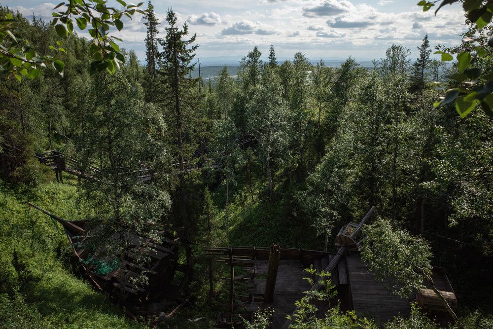 Таинственный лес. Кировск