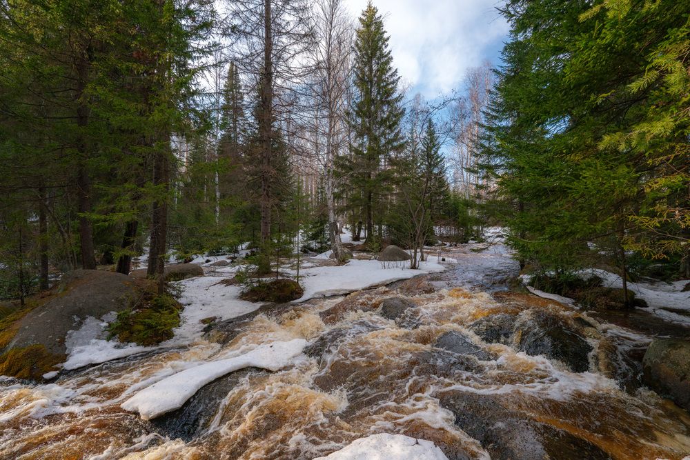 Весенние воды реки Северка