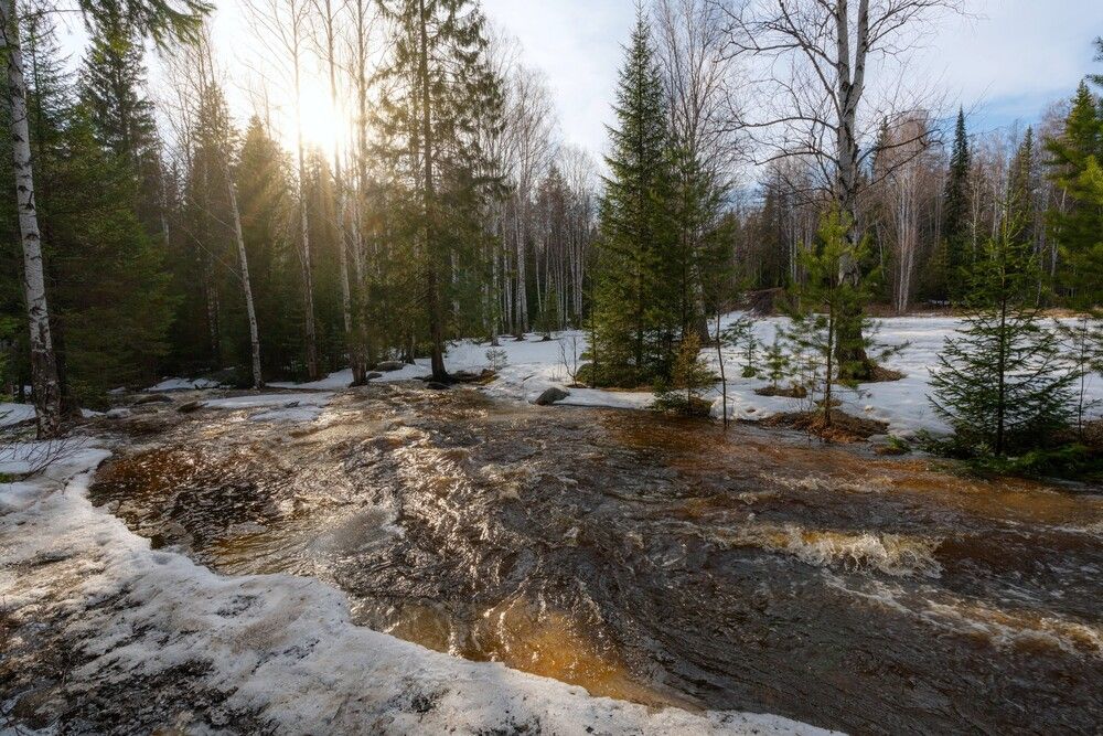 Весенние воды реки Северка