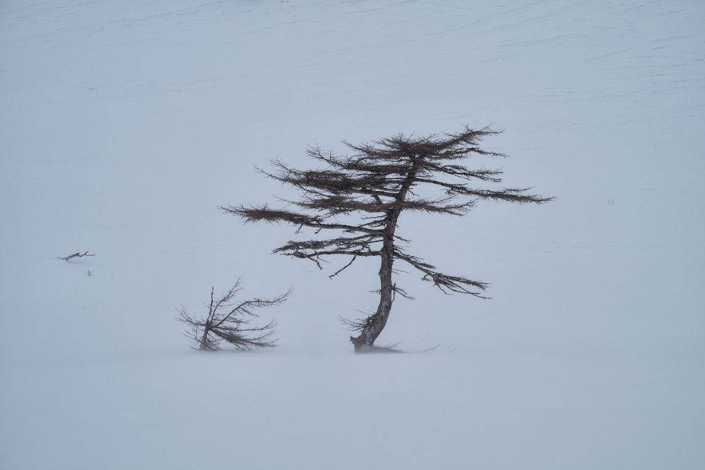 Курильский минимализм