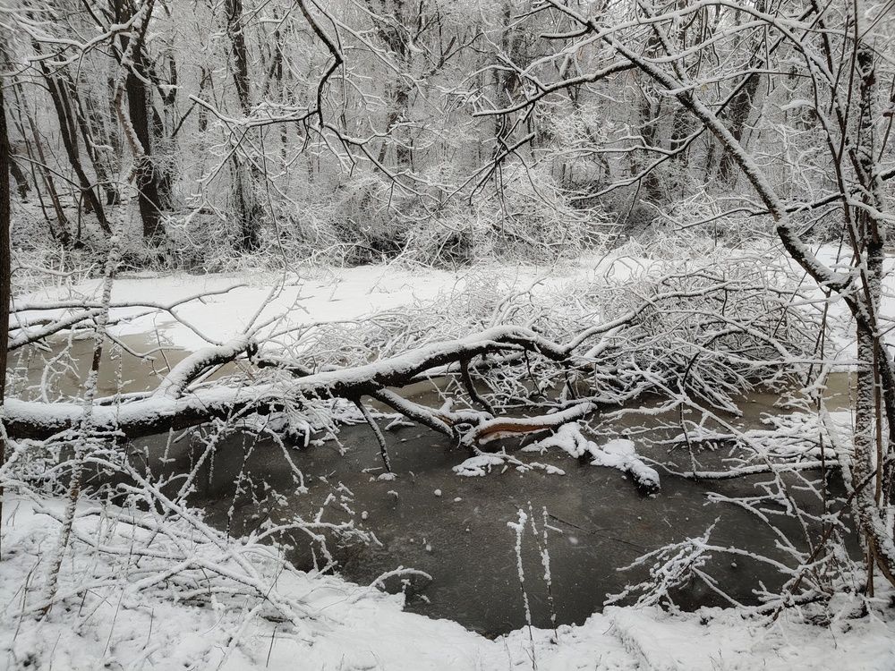 Photo 29934715