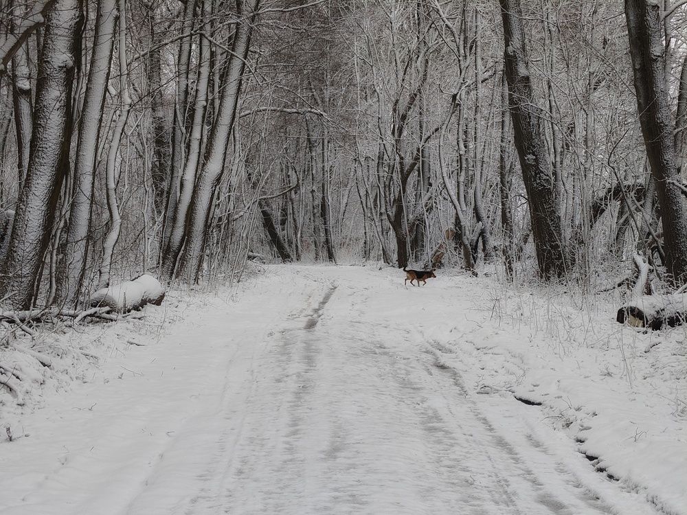 Photo 29934716