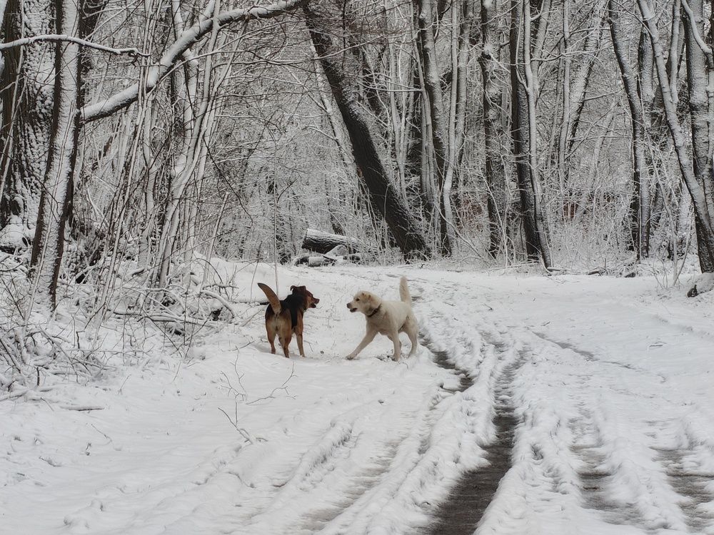 Photo 29934721