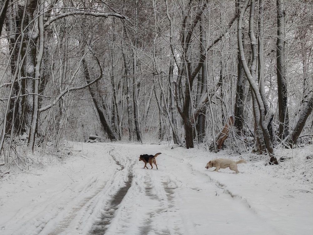 Photo 29934722