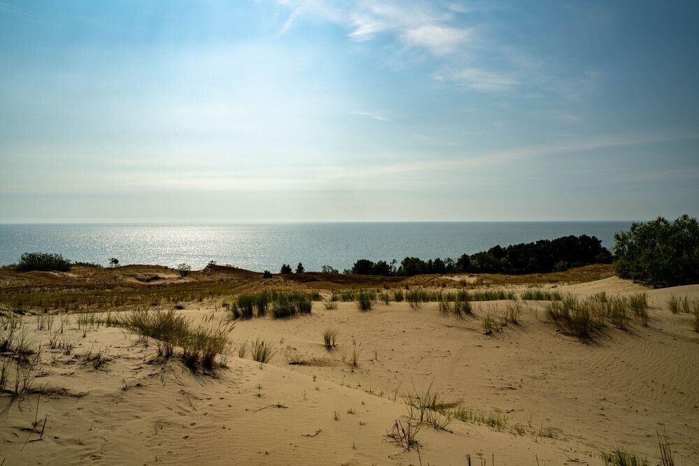 Photo 29934895