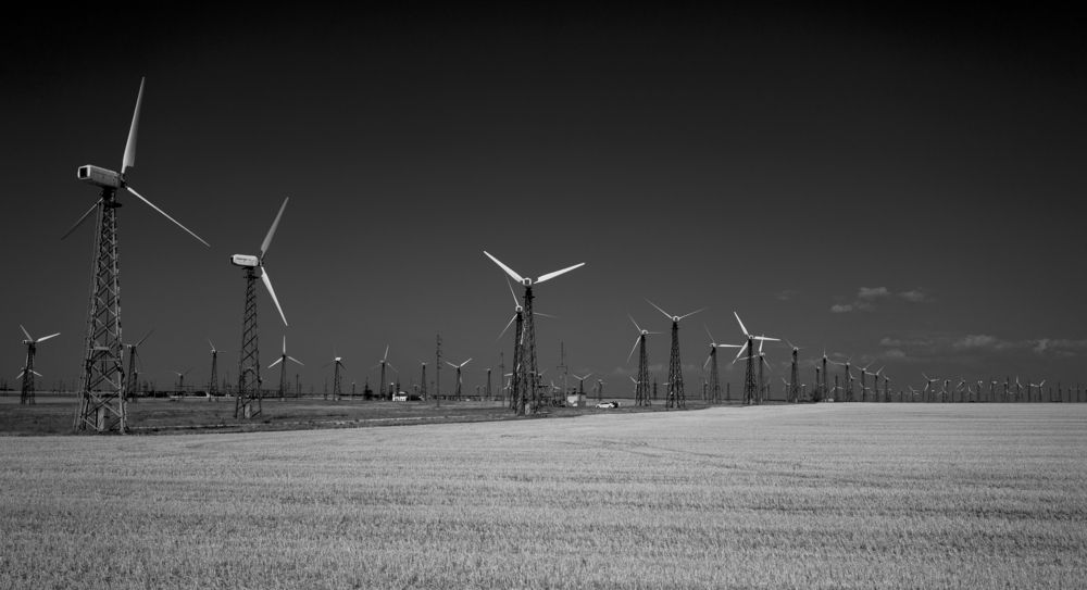Crimea.Various.Mono