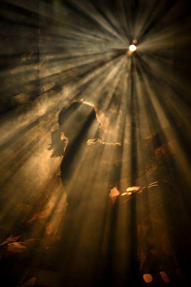Light