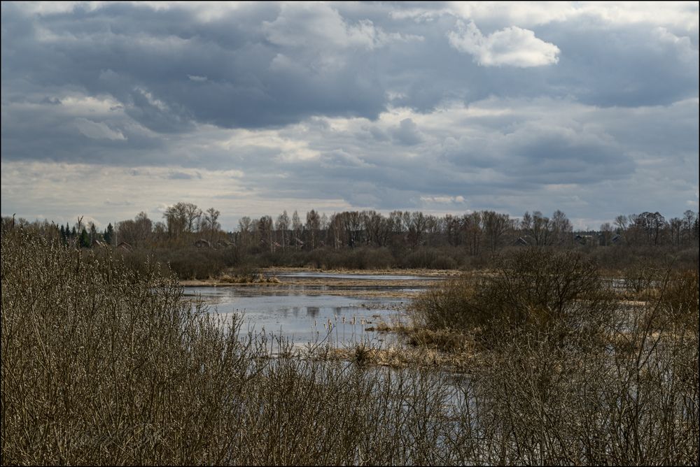 Серая весна