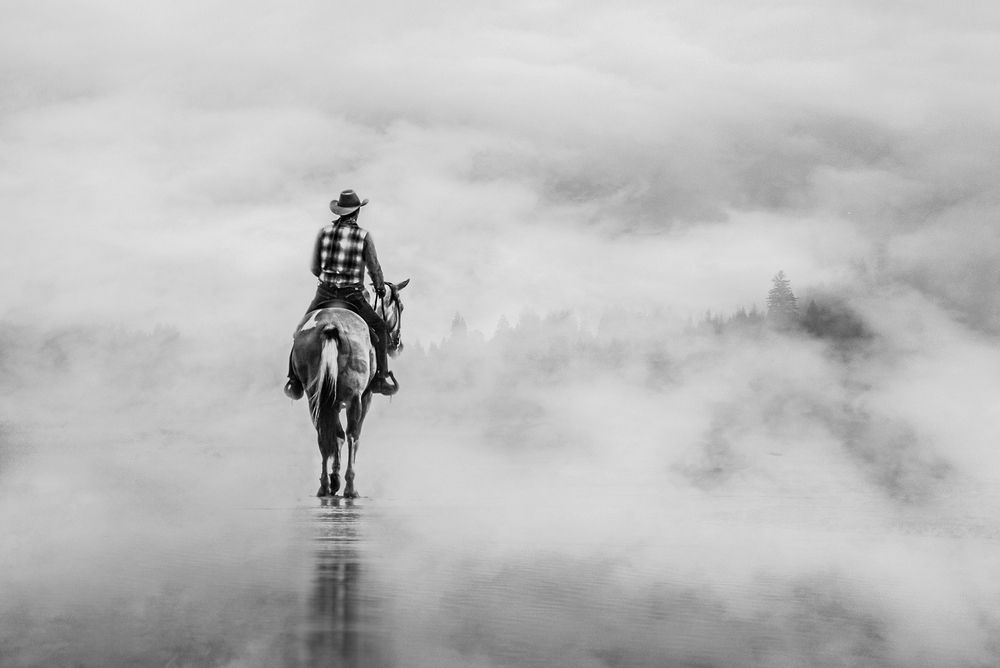 The Passionate Equestrians, Masters of Equine Harmony