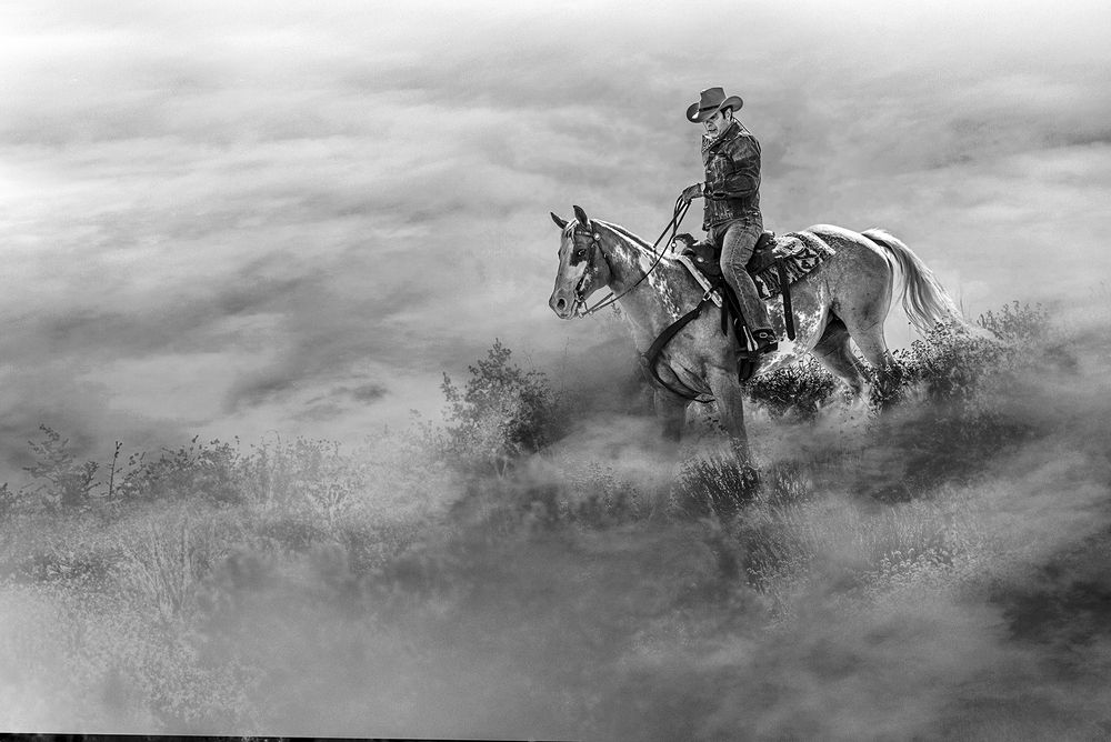 The Passionate Equestrians, Masters of Equine Harmony
