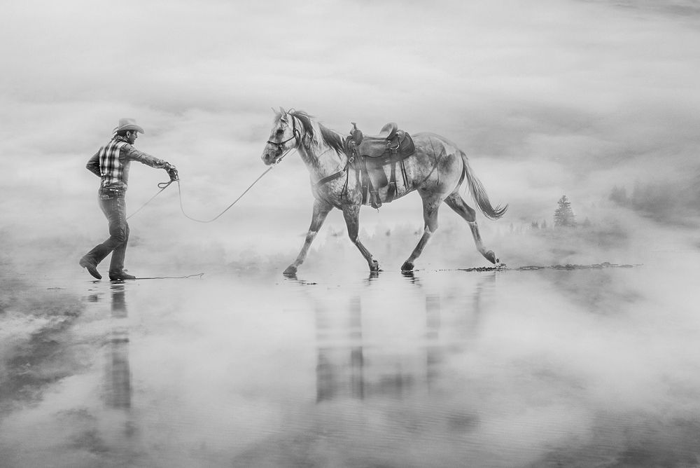 The Passionate Equestrians, Masters of Equine Harmony