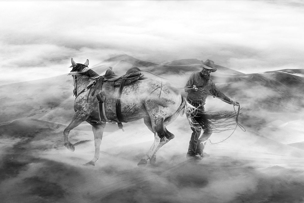 The Passionate Equestrians, Masters of Equine Harmony