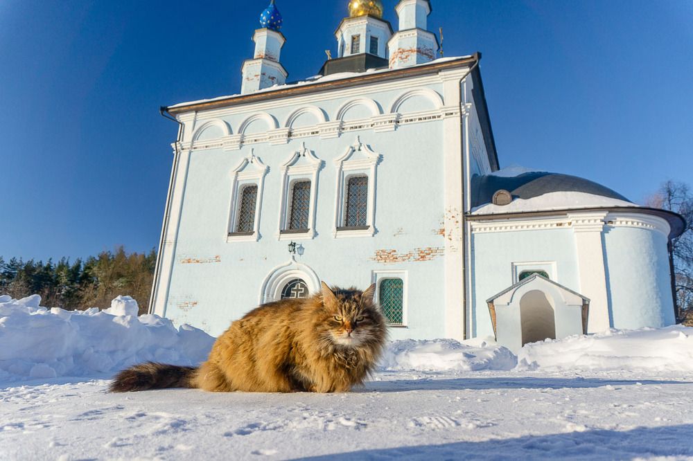 Свято-Введенский Макарьевский Жабынский мужской монастырь.